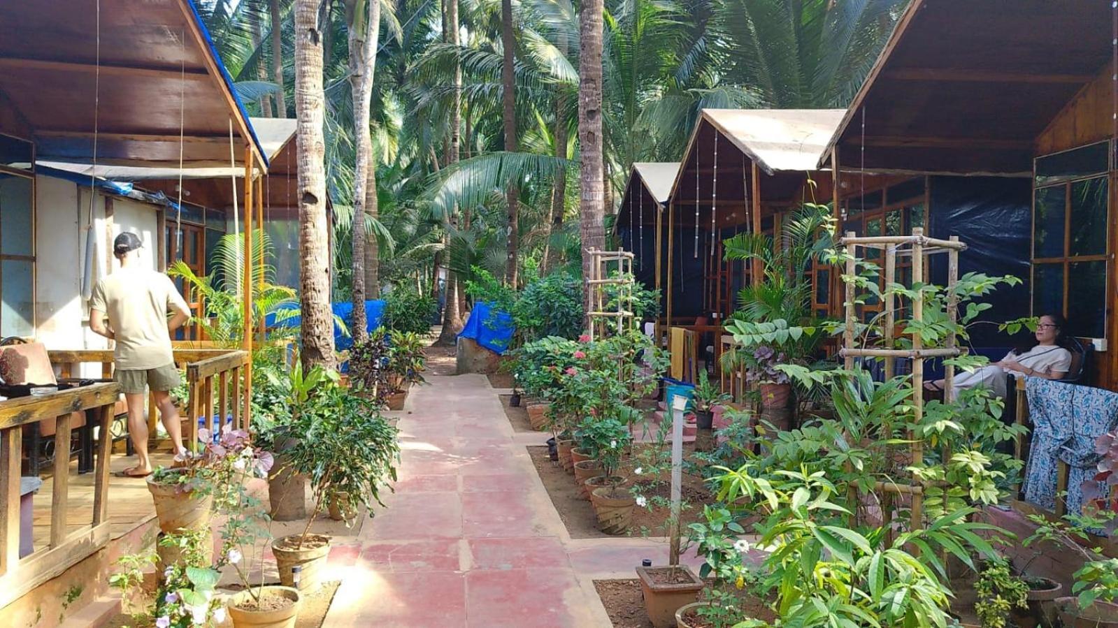 Hotel Csf Garden Huts Palolem Exteriér fotografie